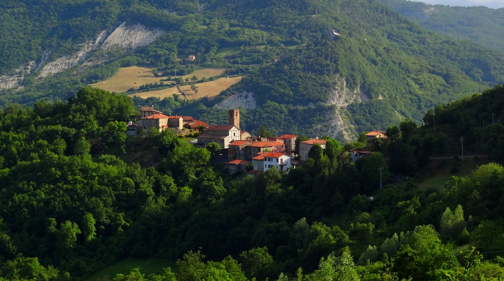 Photo "Terenzo" by Uspn (CC BY-SA) / Cropped from original
