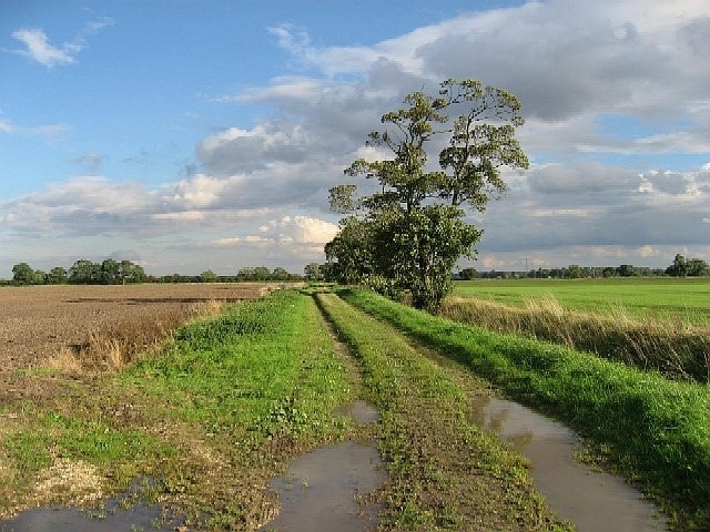 Photo "Laxton" by Roger Gilbertson (CC BY-SA) / Cropped from original