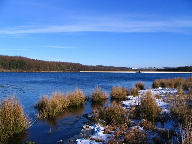 Foto “Great Timble” tomada por I Love Colour (CC BY-SA); recorte de la original