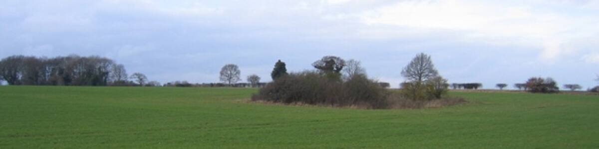 Photo "Wooded former marlpit in farmland, Helhoughton, Norfolk." by Rodney Burton (Creative Commons Attribution-Share Alike 2.0) / Cropped from original