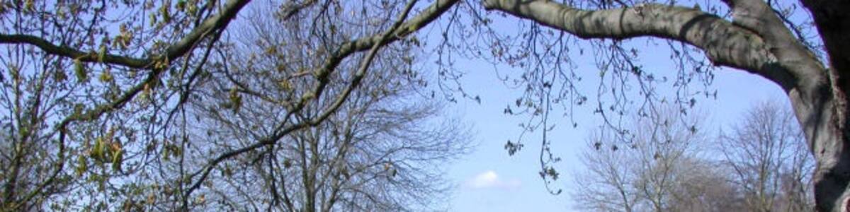 Photo "Wells Park Farm" by Keith Edkins (Creative Commons Attribution-Share Alike 2.0) / Cropped from original