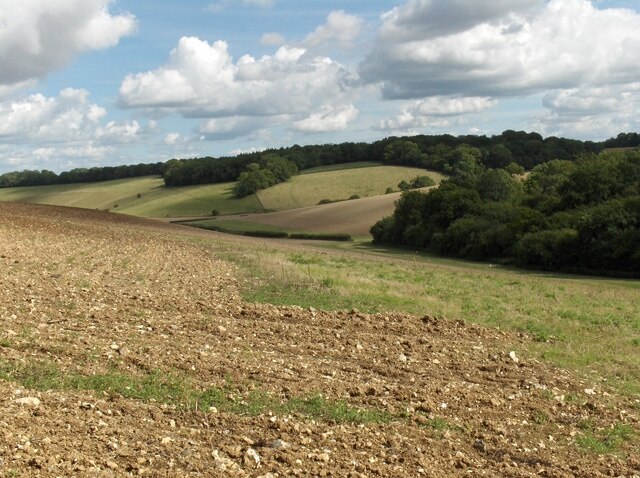 Valley near Eastbury. Looking down on the eastern end of Great Park Wood from the slopes of Shrags Hill.