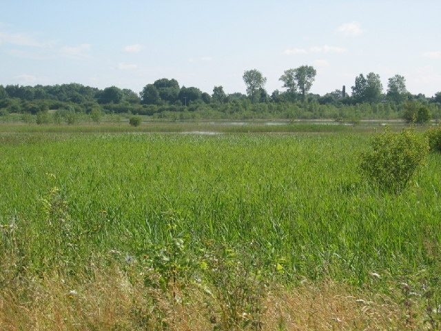 Kuva ”Wincham” käyttäjältä Lizzie (CC BY-SA) / rajattu alkuperäisestä kuvasta