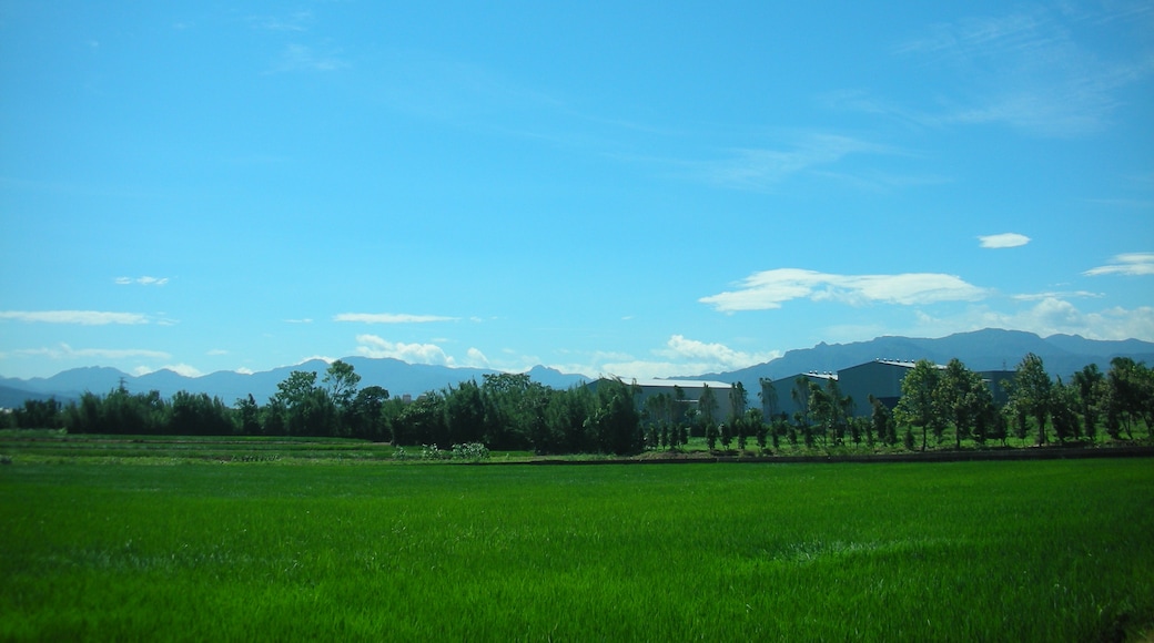 Photo "Longtan District" by Foxy Who \(^∀^)/ (CC BY-SA) / Cropped from original