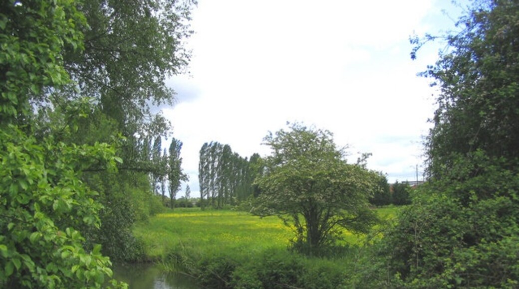 Kuva ”Fyfield” käyttäjältä John Winfield (CC BY-SA) / rajattu alkuperäisestä kuvasta