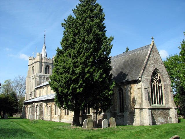 Kuva ”Elm” käyttäjältä Evelyn Simak (CC BY-SA) / rajattu alkuperäisestä kuvasta