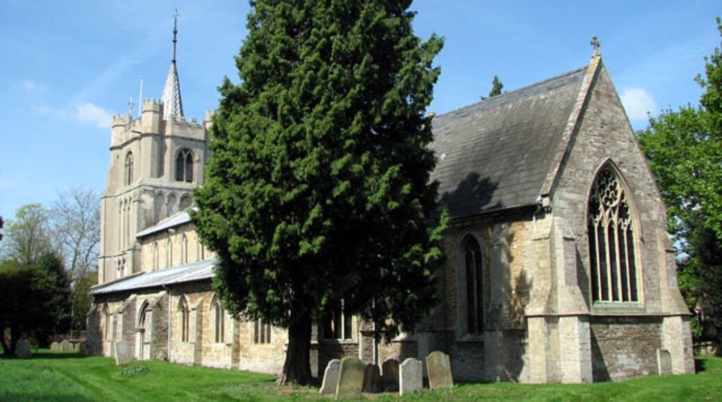 Kuva ”Elm” käyttäjältä Evelyn Simak (CC BY-SA) / rajattu alkuperäisestä kuvasta