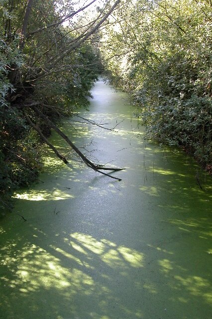 Photo "Leigh" by Philip Halling (CC BY-SA) / Cropped from original