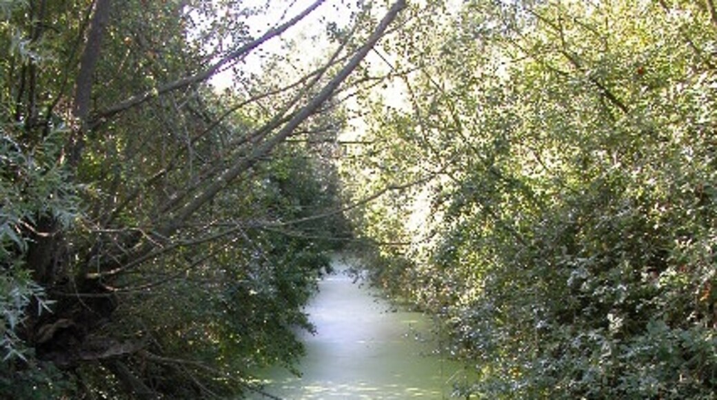 Billede "Leigh" af Philip Halling (CC BY-SA) / beskåret fra det originale billede