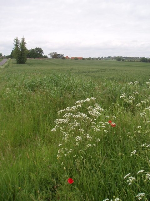 Kuva ”Easton Maudit” käyttäjältä Oliver White (CC BY-SA) / rajattu alkuperäisestä kuvasta