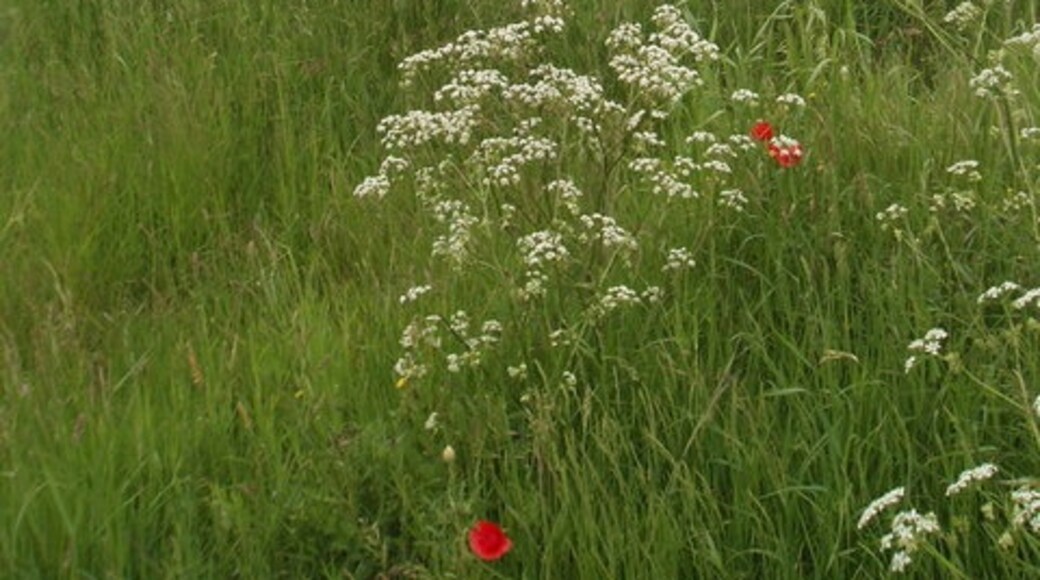 "Easton Maudit"-foto av Oliver White (CC BY-SA) / Urklipp från original