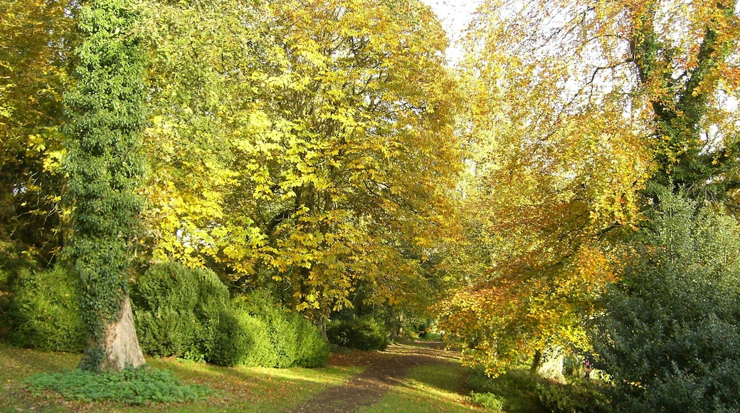 Photo "Ozleworth" by PJMarriott (CC BY) / Cropped from original