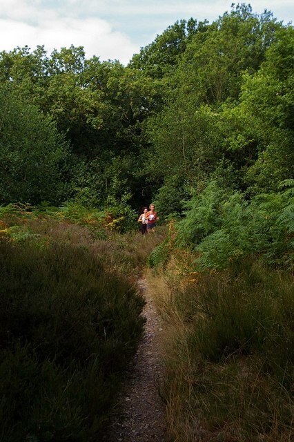 Ảnh "Woodham Walter" của Glyn Baker (CC BY-SA) / Cắt từ ảnh gốc