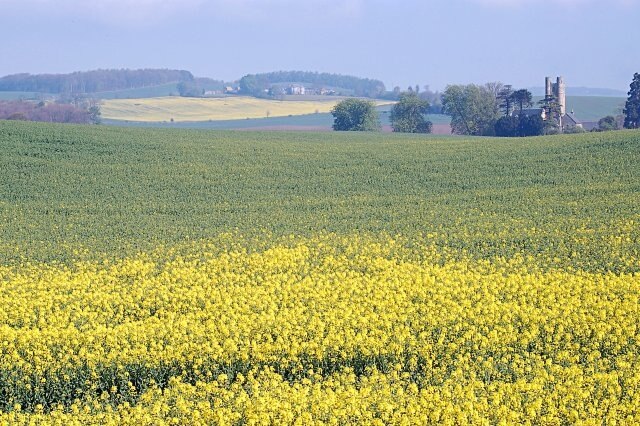 Towards Pilmuir Farmland by Lundin Tower with Pilmuir in the far distance on a hazy morning.