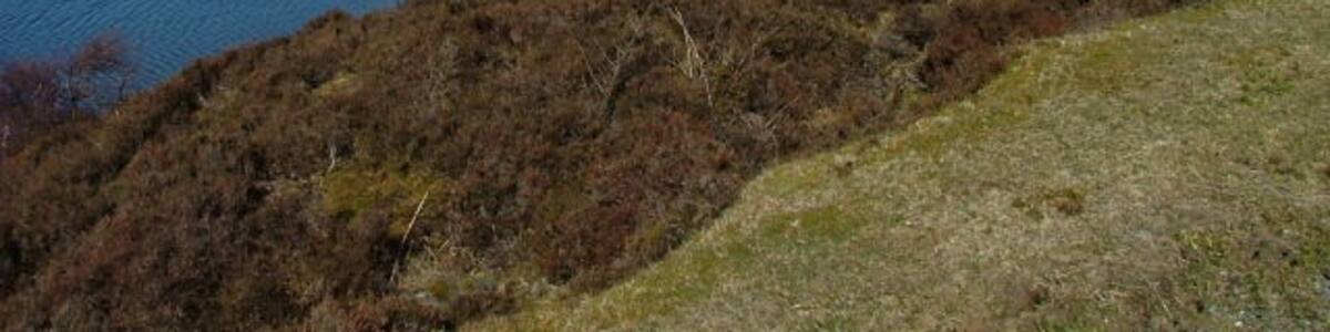 Photo "Eastern shore of Loch Gauscavaig Looking towards the westernmost peak of the Black Cuillin." by Dave Fergusson (Creative Commons Attribution-Share Alike 2.0) / Cropped from original