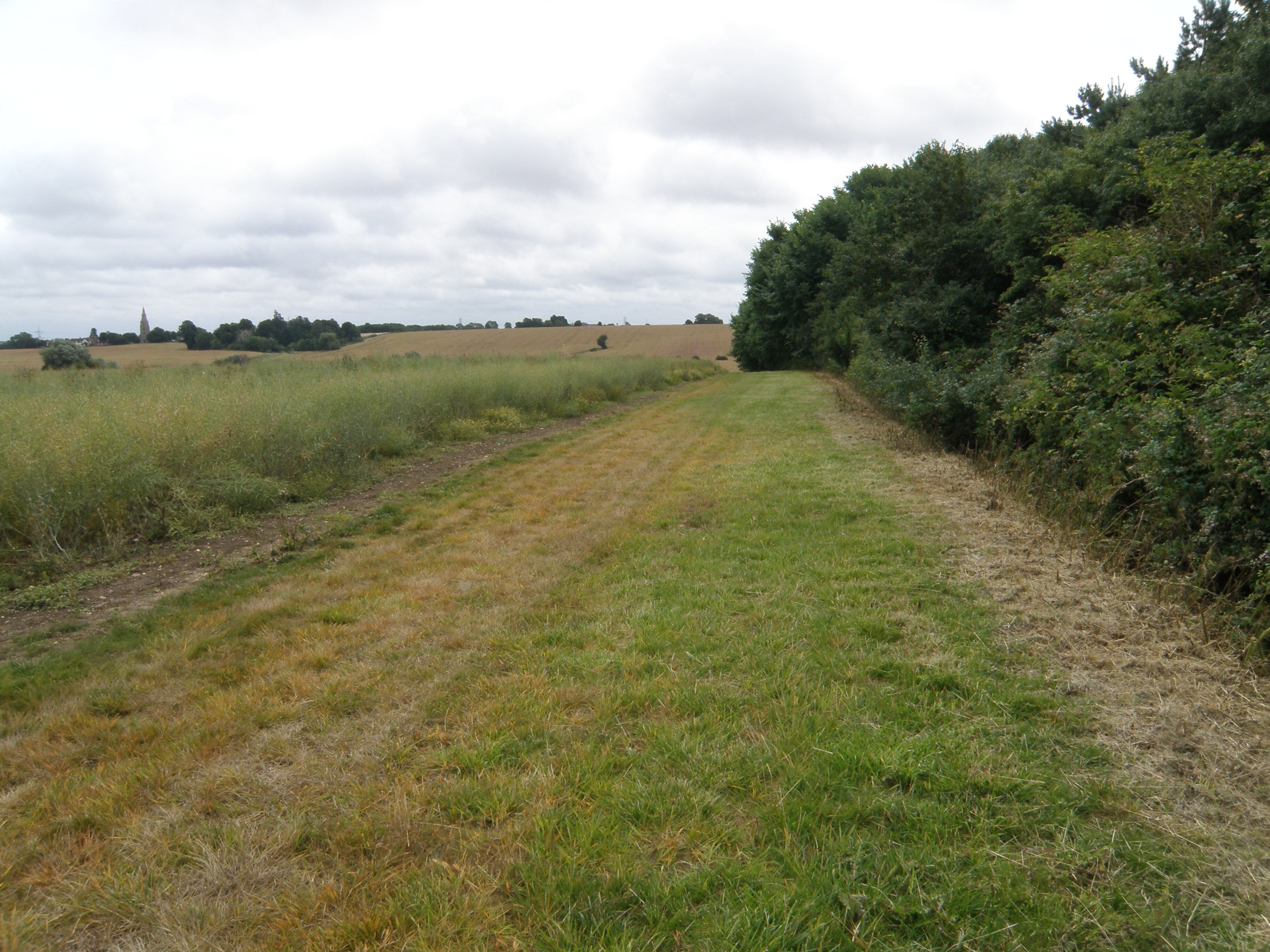 Foto “Buckworth” tomada por Michael Trolove (CC BY-SA); recorte de la original