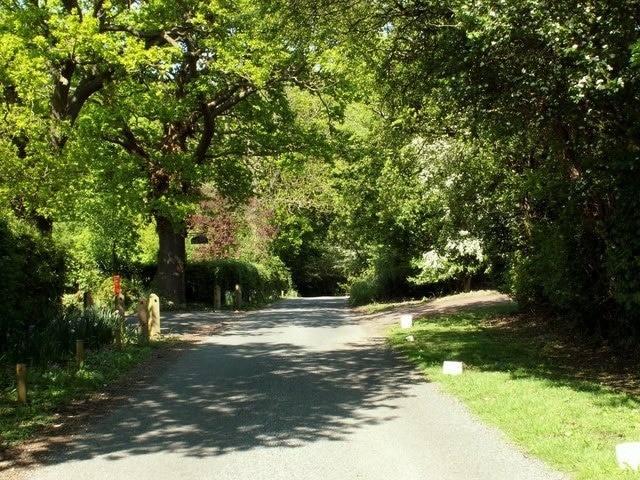 Part of Mope Lane in Wickham Bishops Mope Wood is a little further along this road.