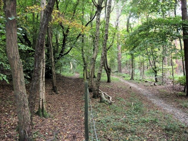 Photo "Buckland" by Chris Reynolds (CC BY-SA) / Cropped from original