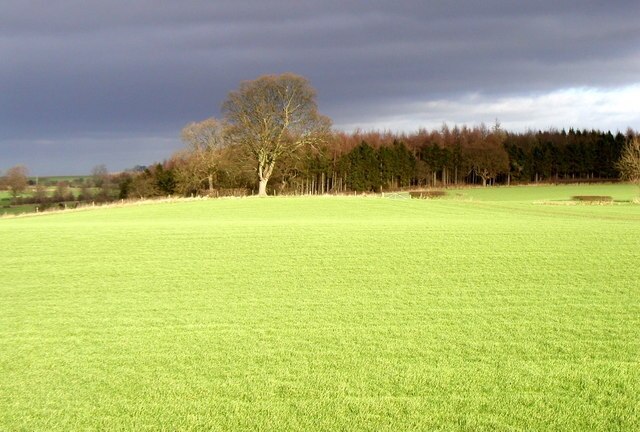 "Azerley"-foto av Andy Beecroft (CC BY-SA) / Urklipp från original