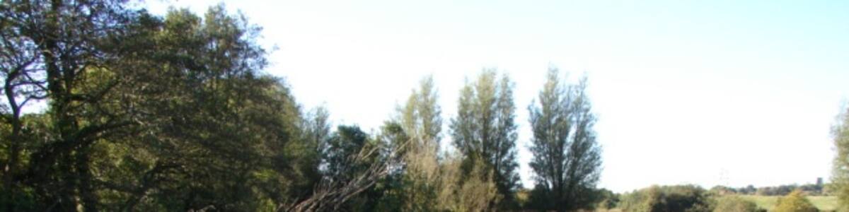 Photo "River Nar at Castle Acre 2 Looking south southwest." by Robert Walden (Creative Commons Attribution-Share Alike 2.0) / Cropped from original