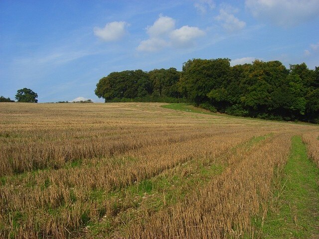 Photo "Piddington and Wheeler End" by Andrew Smith (CC BY-SA) / Cropped from original