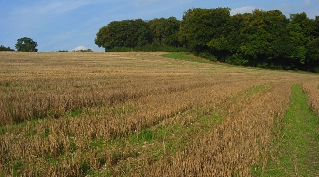 "Piddington and Wheeler End"-foto av Andrew Smith (CC BY-SA) / Urklipp från original