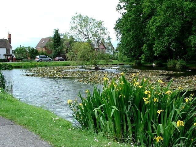 Village pond at Hanley Swan A stretch of water with ducks and water plants makes a delightful centrepiece to this charming village.