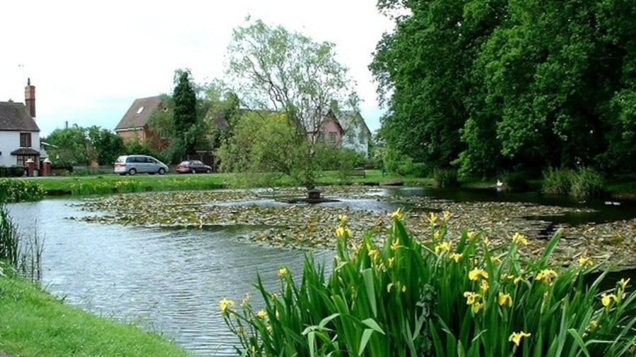 Photo "Village pond at Hanley Swan A stretch of water with ducks and water plants makes a delightful centrepiece to this charming village." by Ken Walton (Creative Commons Attribution-Share Alike 2.0) / Cropped from original