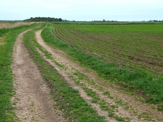 Foto "Toynton San Pedro" por Dave Hitchborne (CC BY-SA) / Recortada de la original