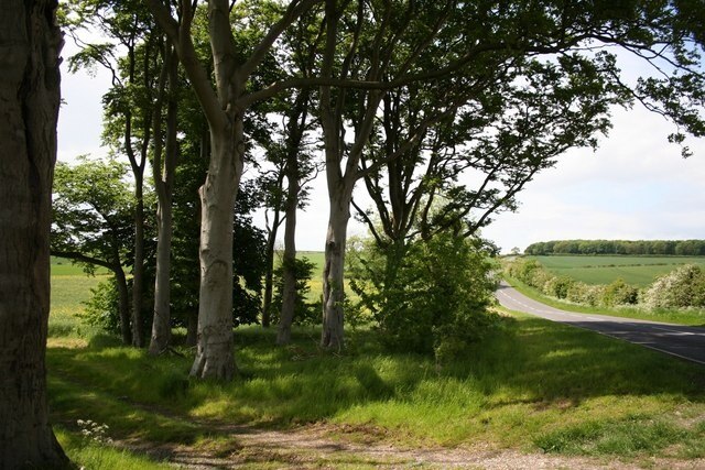 High Street High Street winding over the Lincolnshire Wolds by some handsome beech trees