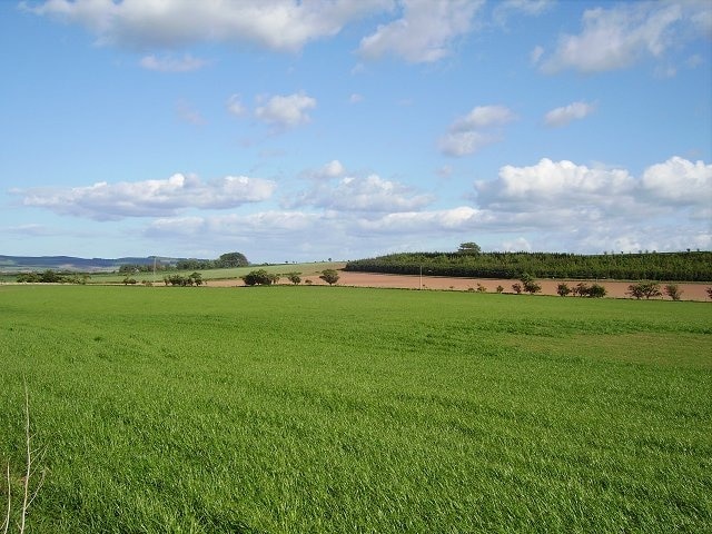 Newmains. Arable land near Newmains Farm.