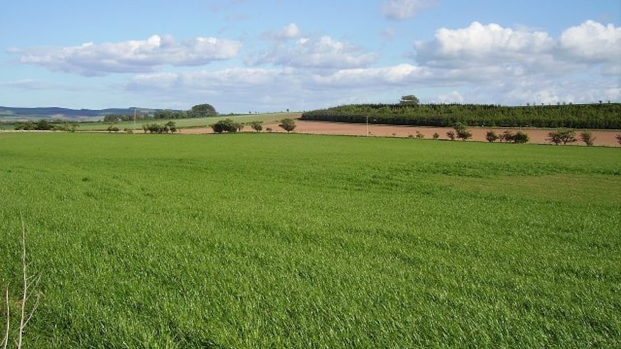 Photo "Newmains. Arable land near Newmains Farm." by Richard Webb (Creative Commons Attribution-Share Alike 2.0) / Cropped from original