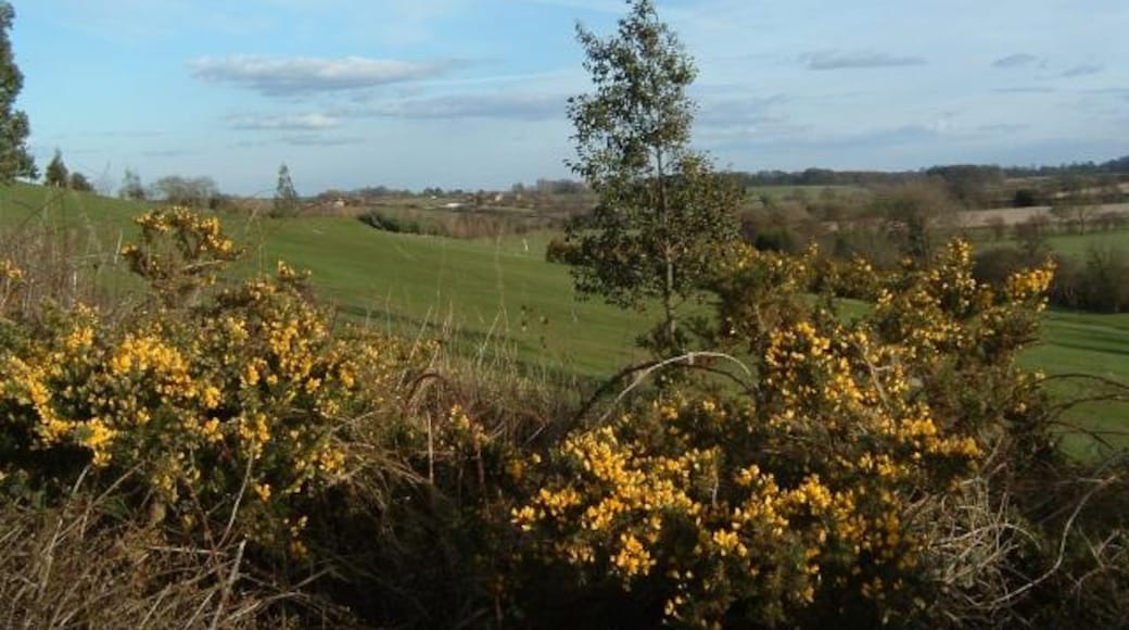 Photo "Spofforth" by Paul Allison (CC BY-SA) / Cropped from original
