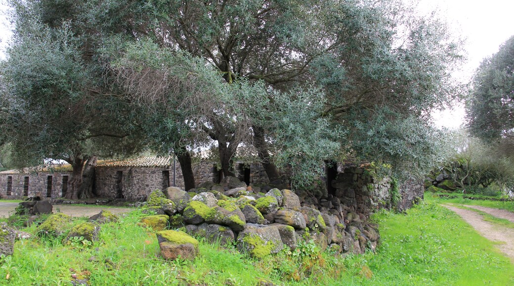 "Villanova Truschedu"-foto av Discanto (CC BY-SA) / Urklipp från original