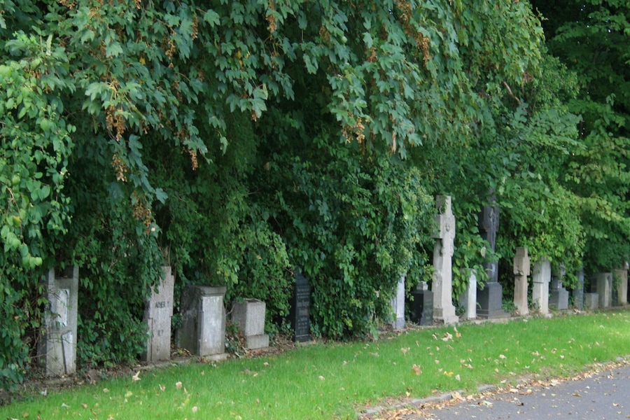 This is a photograph of an architectural monument. It is on the list of cultural monuments of Kreuzau, no. 25