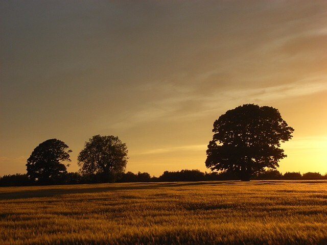 "Rockcliffe"-foto av Andrew Smith (CC BY-SA) / Urklipp från original