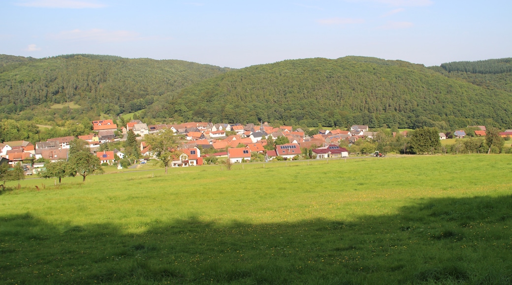 Photo "Biedenkopf" by Gerold Rosenberg (CC BY-SA) / Cropped from original