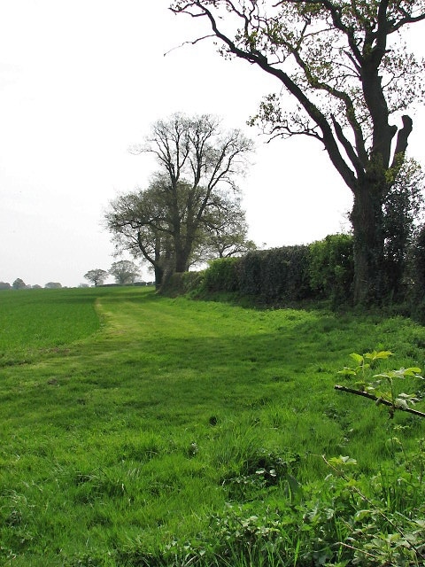 Permissive path The path follows Edgefield Road, on the other side of the hedge seen at right. Stody Estate Farm has created 15 kilometres of permissive paths and bridleways.