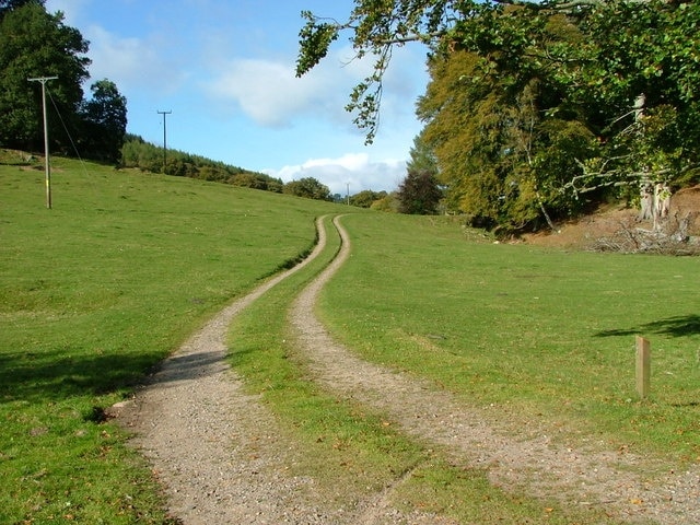 Track to Milton Cottage The trees of Milton coppice are in the distance.