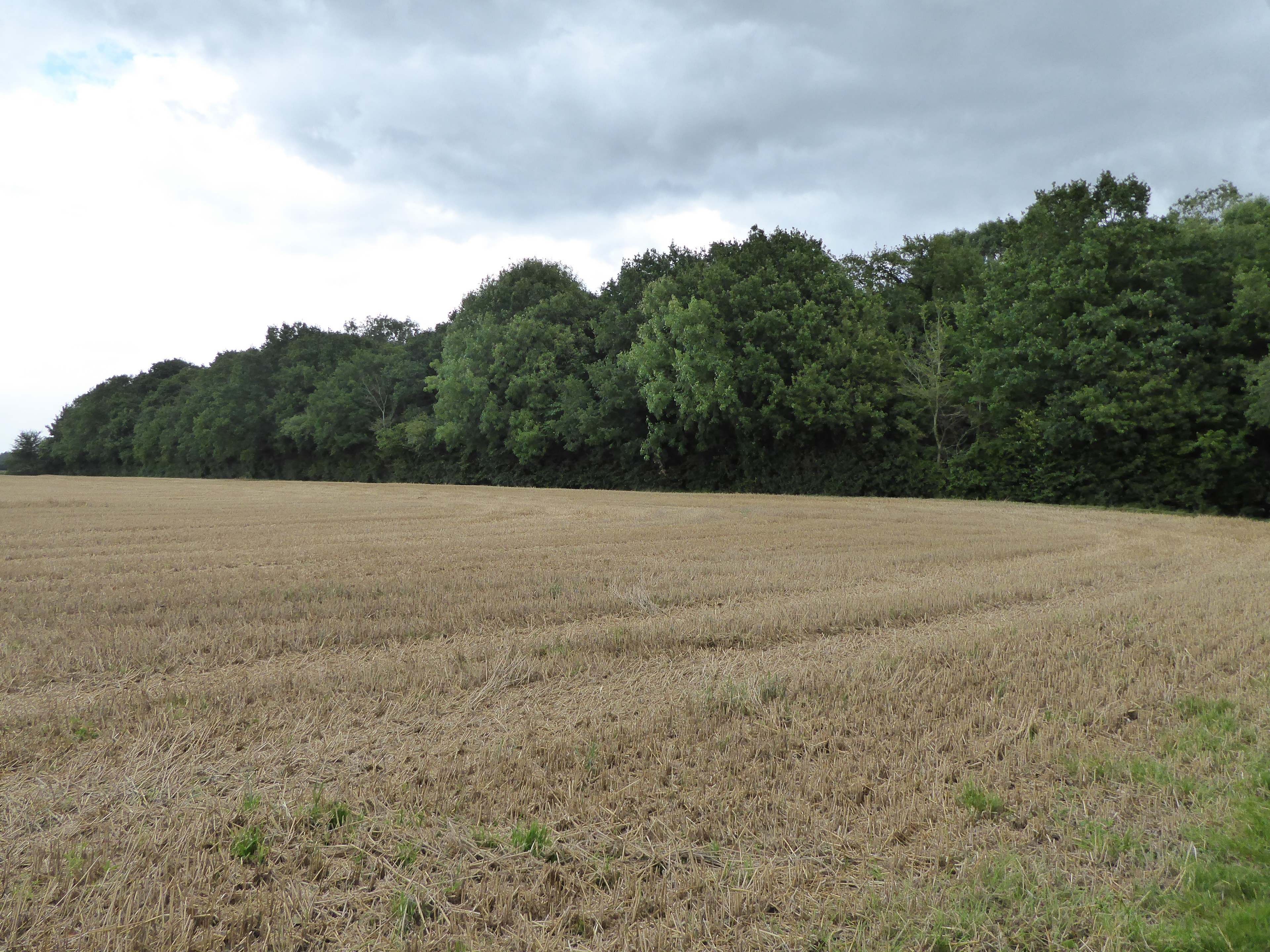 Billede "Thorpe Morieux" af Dudley Miles (CC BY-SA) / beskåret fra det originale billede