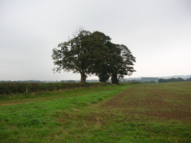 Foto “Pequeño Ribston” tomada por DS Pugh (CC BY-SA); recorte de la original