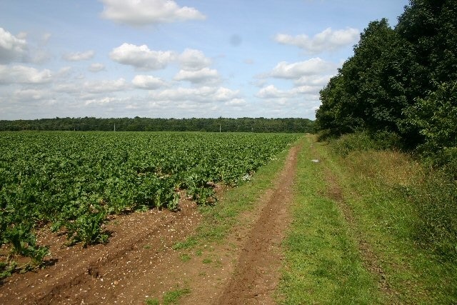 Foto "Herringswell" por Bob Jones (CC BY-SA) / Recortada de la original