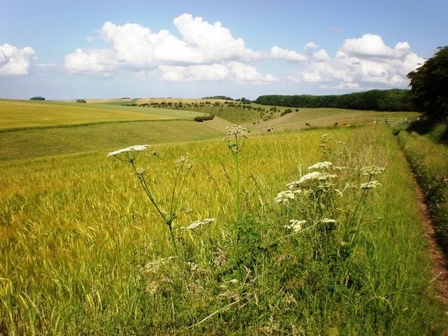 Foto „Wharram“ von Dr Patty McAlpin (CC BY-SA)/zugeschnittenes Original