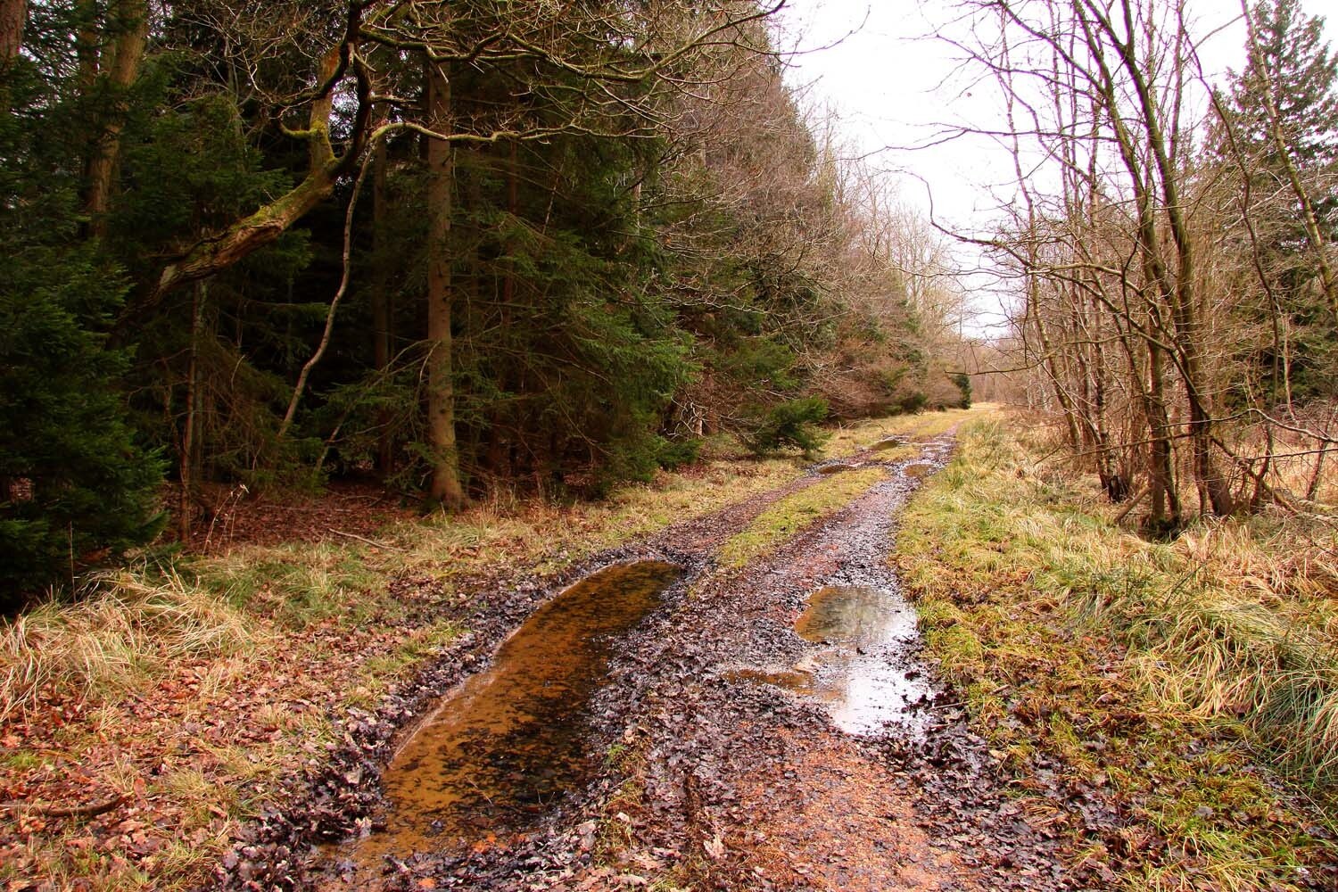 Photo "Oakley" by Steve Daniels (CC BY-SA) / Cropped from original