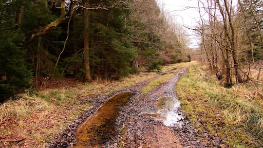 Photo "Oakley" by Steve Daniels (CC BY-SA) / Cropped from original