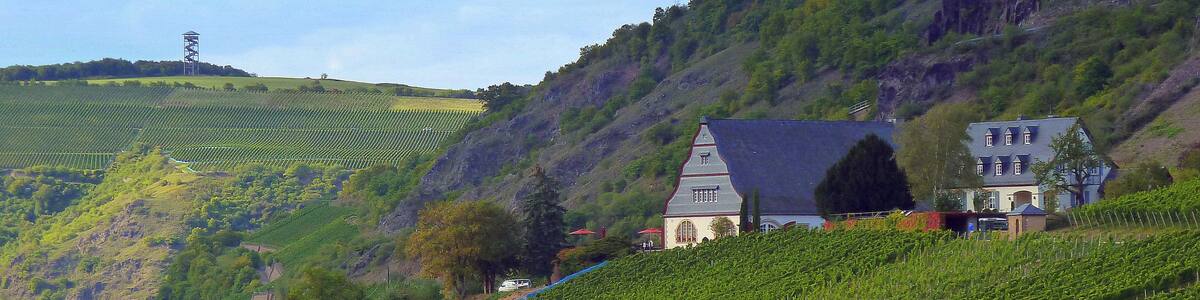 Photo "Die ehemalige Weinbaudomäne Niederhausen und der Heimbergturm bei Waldböckelheim" by giggel (Creative Commons Attribution 3.0) / Cropped from original