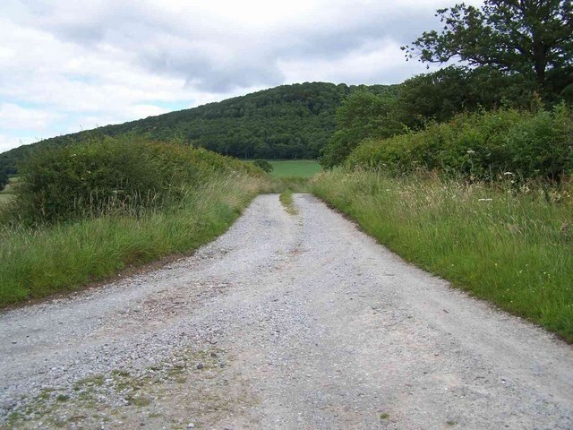 Photo "Harley" by Geoff Pick (CC BY-SA) / Cropped from original