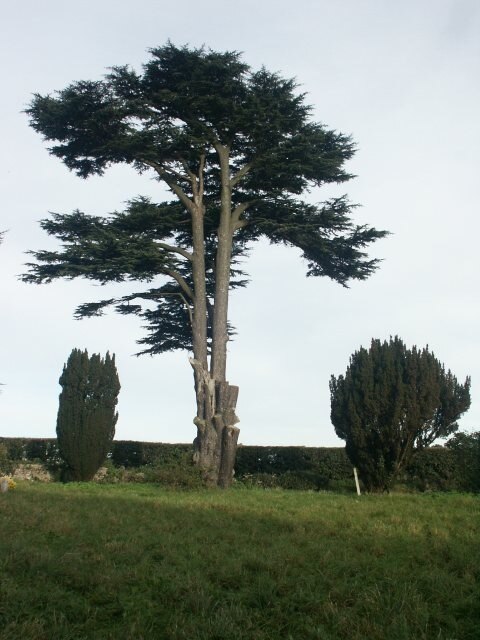 Ảnh "Làng Marlingford và Colton" của Katy Walters (CC BY-SA) / Cắt từ ảnh gốc