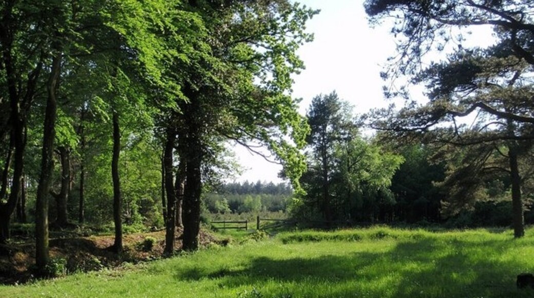 Kuva ”Mamhead” käyttäjältä Derek Harper (CC BY-SA) / rajattu alkuperäisestä kuvasta