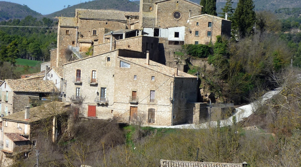 Vallmanya, Pinos, Catalonia, Spain